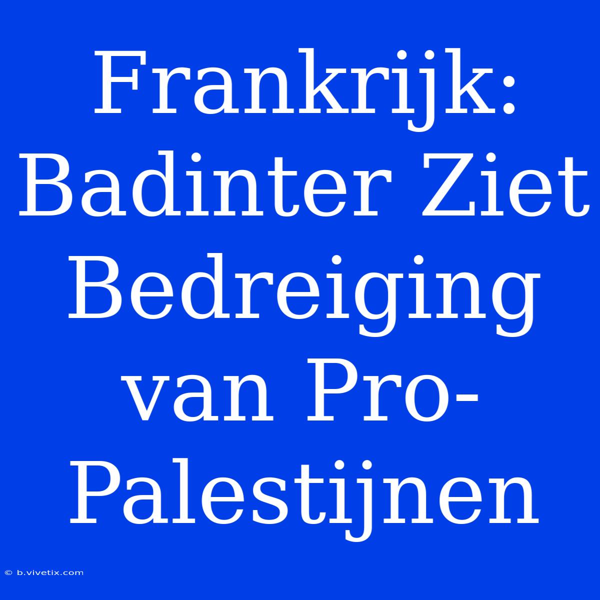 Frankrijk: Badinter Ziet Bedreiging Van Pro-Palestijnen