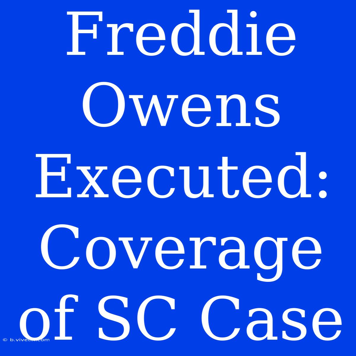 Freddie Owens Executed: Coverage Of SC Case