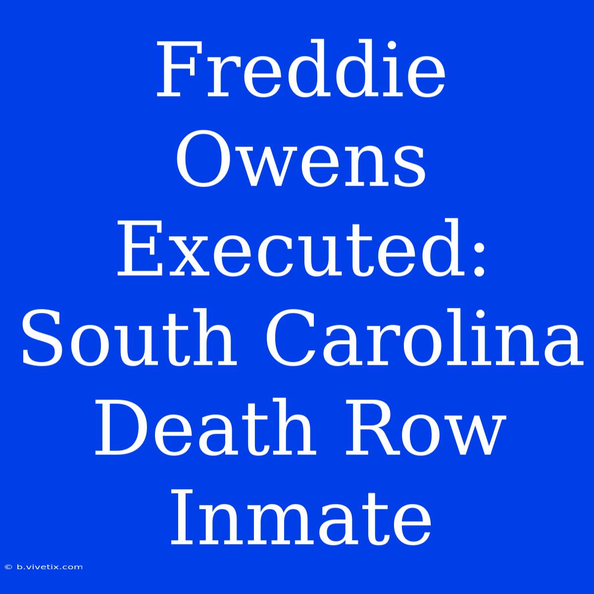 Freddie Owens Executed: South Carolina Death Row Inmate