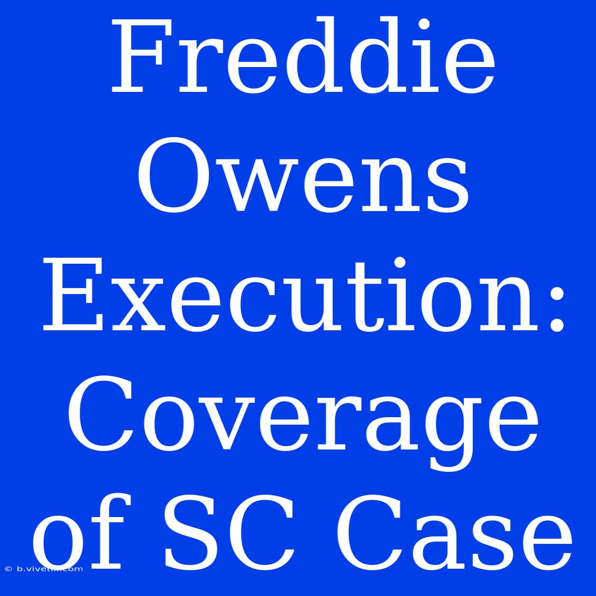 Freddie Owens Execution: Coverage Of SC Case