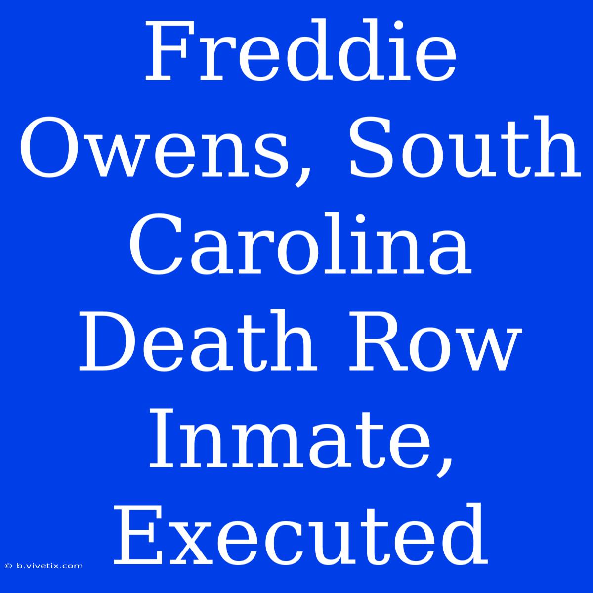 Freddie Owens, South Carolina Death Row Inmate, Executed 