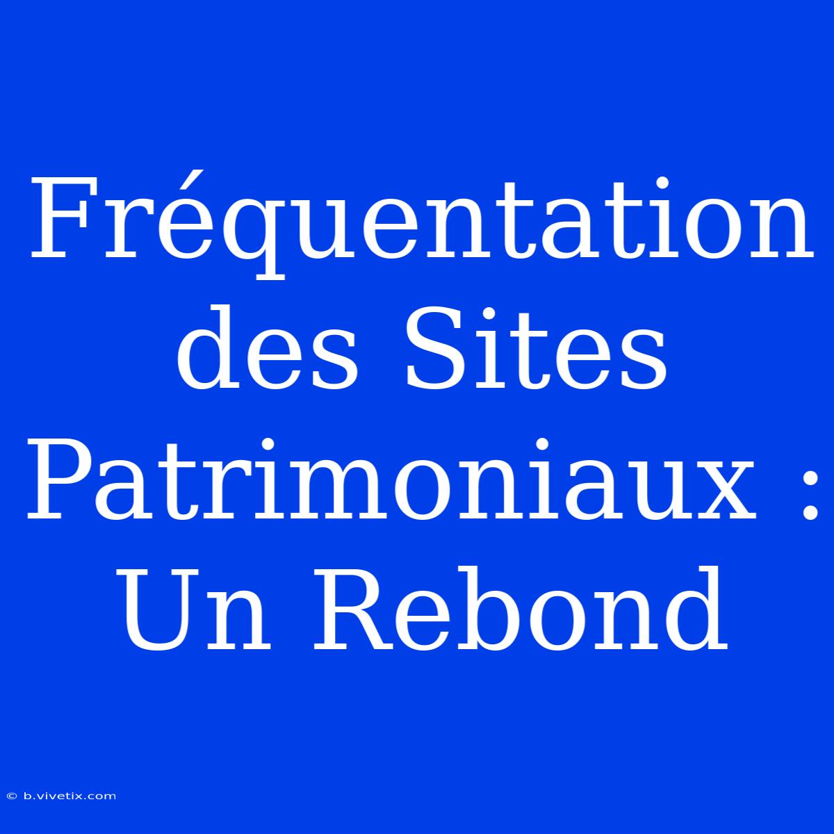 Fréquentation Des Sites Patrimoniaux : Un Rebond