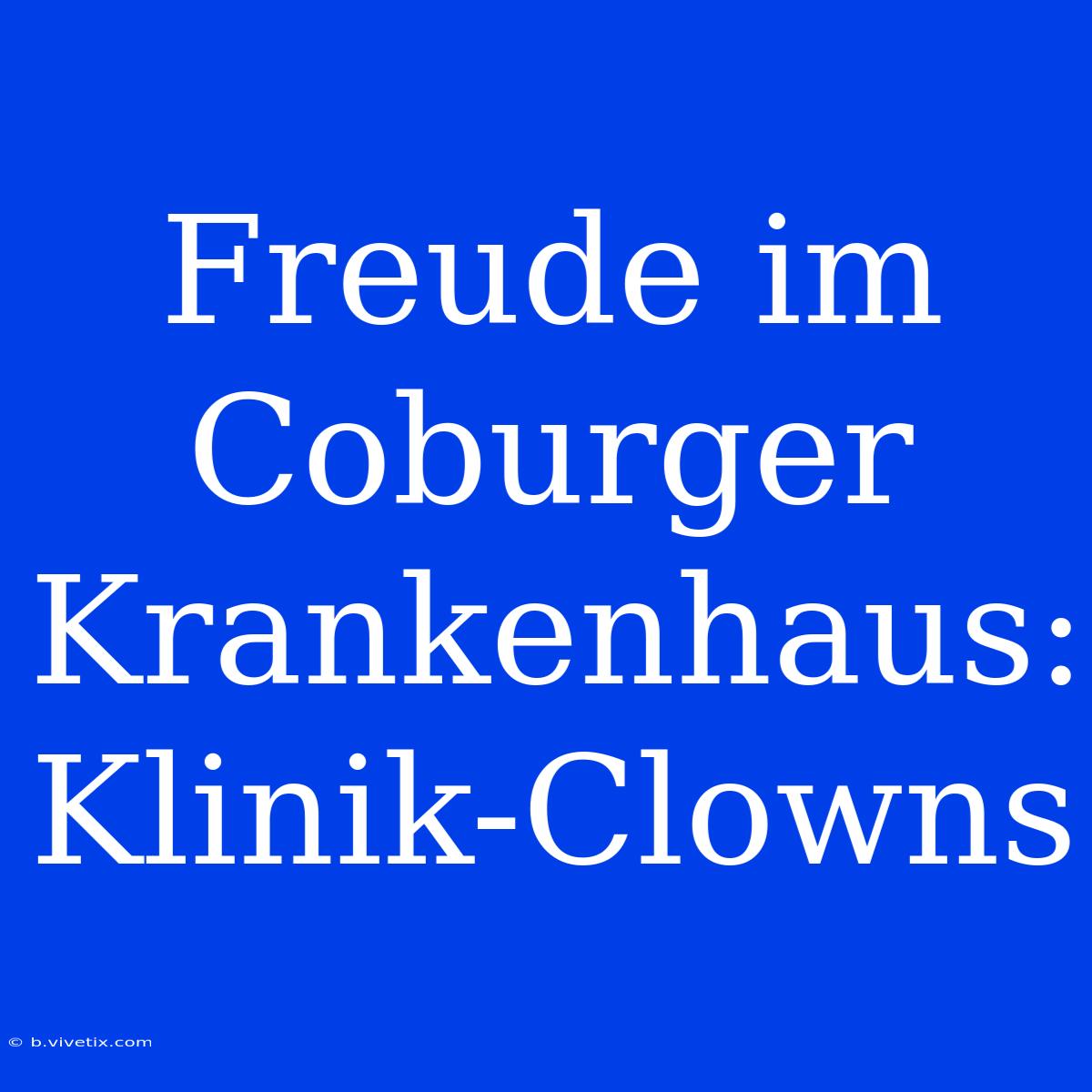 Freude Im Coburger Krankenhaus: Klinik-Clowns