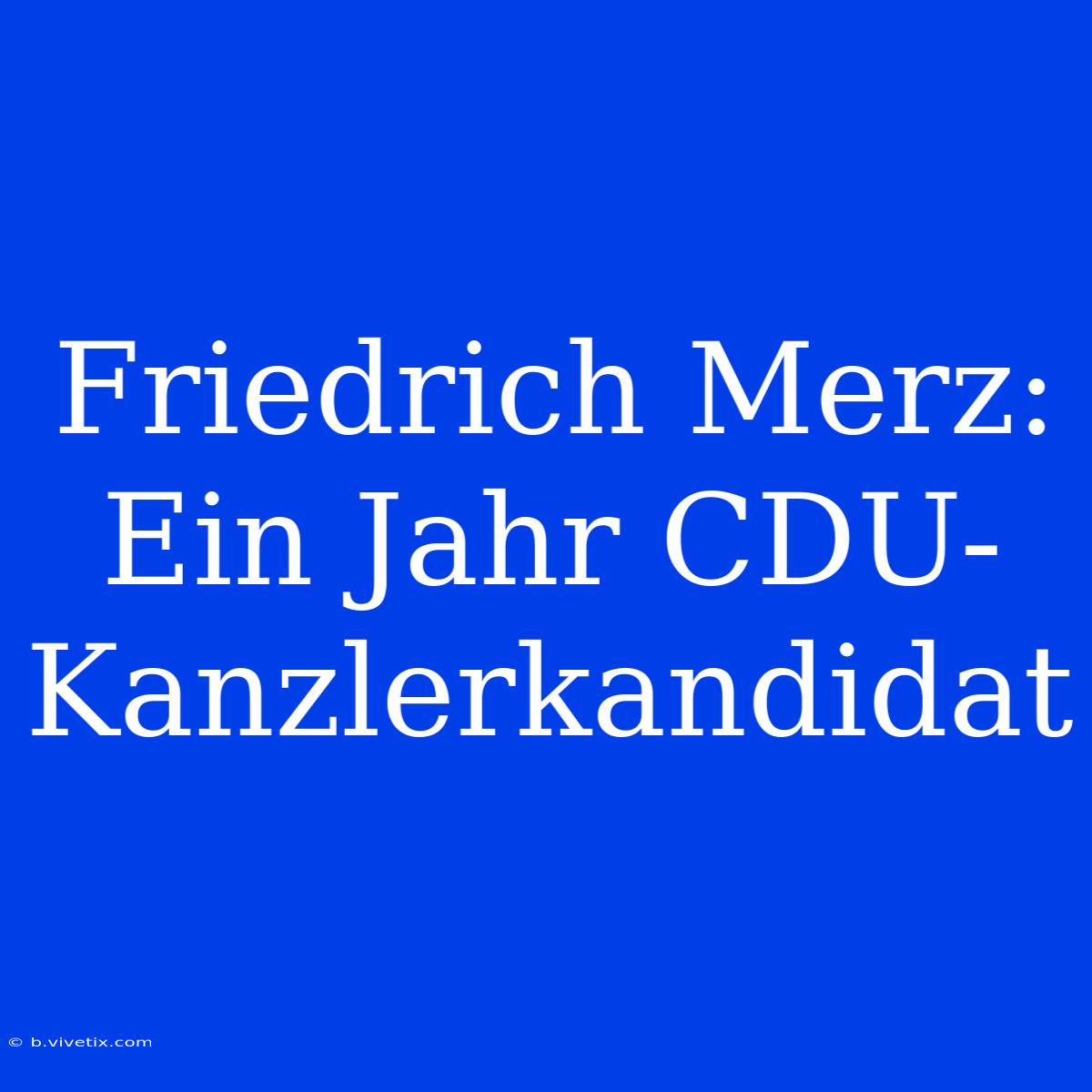 Friedrich Merz: Ein Jahr CDU-Kanzlerkandidat