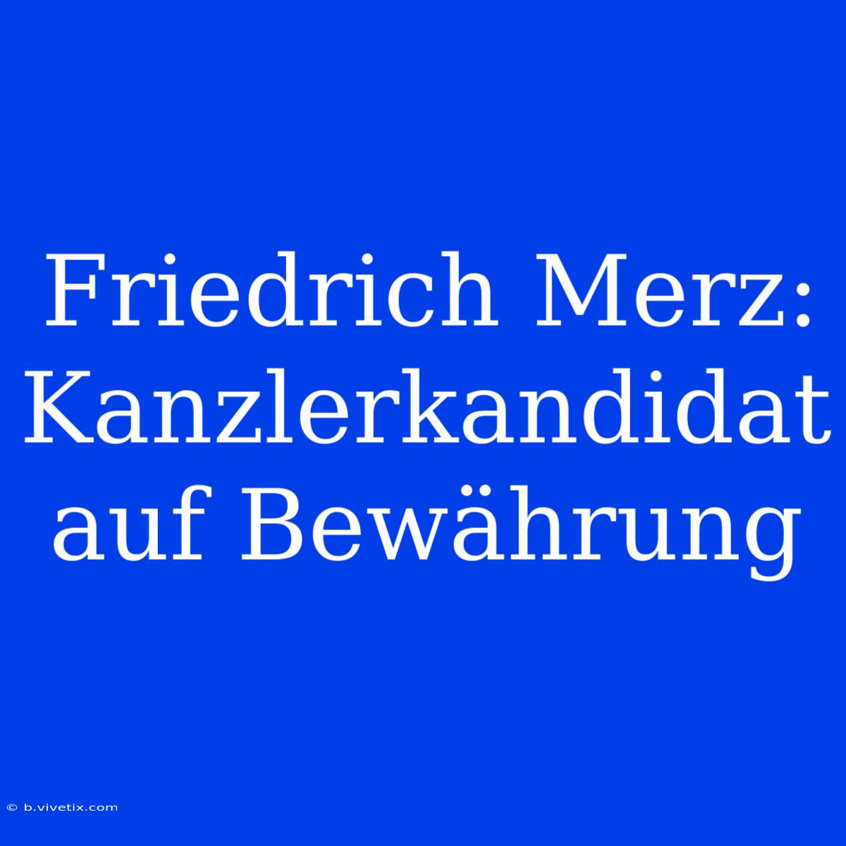 Friedrich Merz: Kanzlerkandidat Auf Bewährung