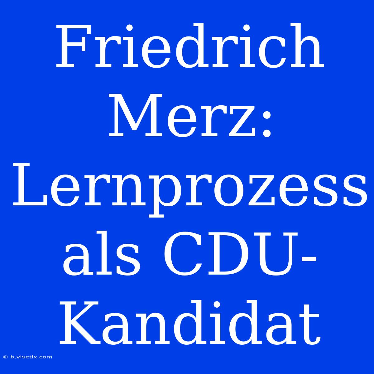 Friedrich Merz: Lernprozess Als CDU-Kandidat