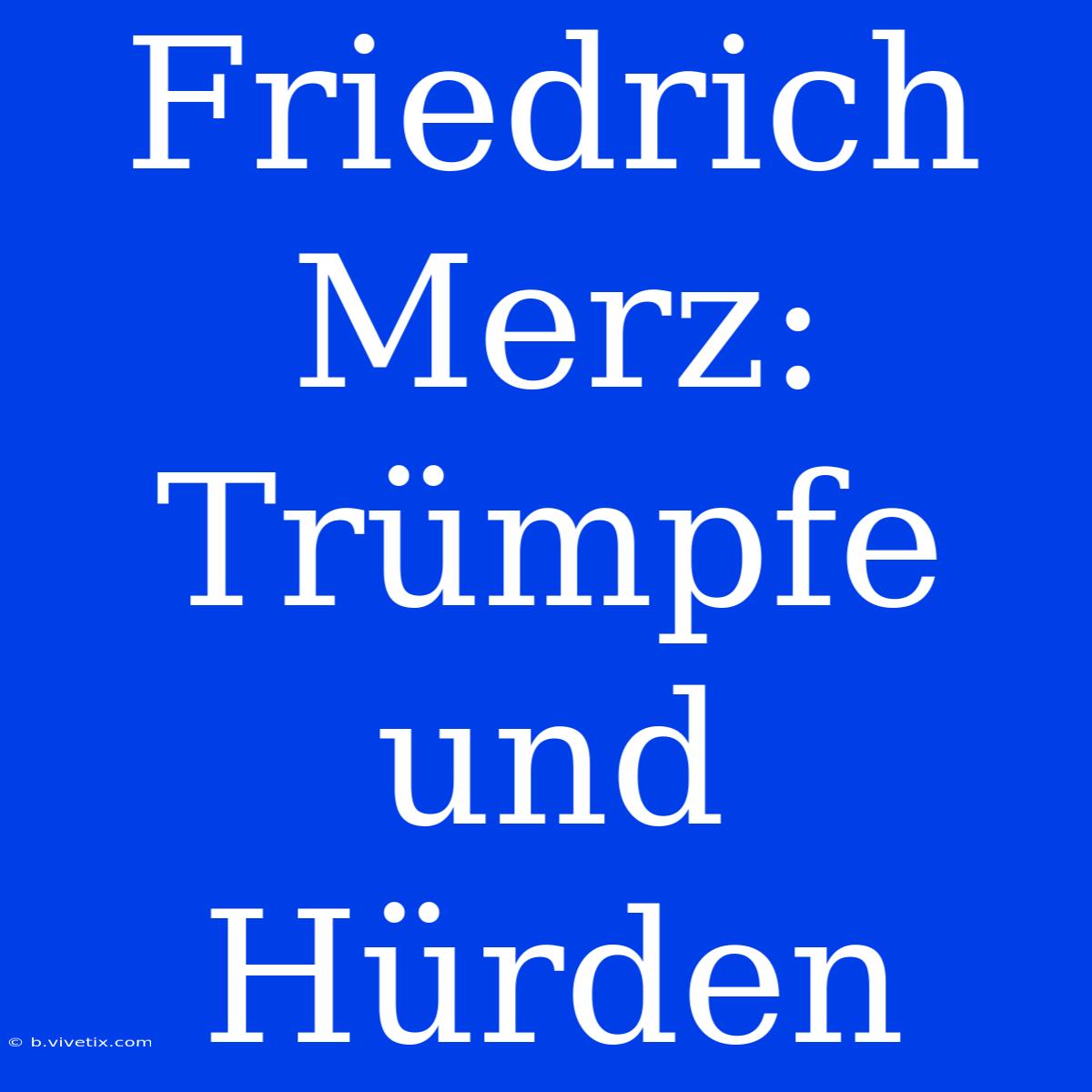 Friedrich Merz:  Trümpfe Und Hürden