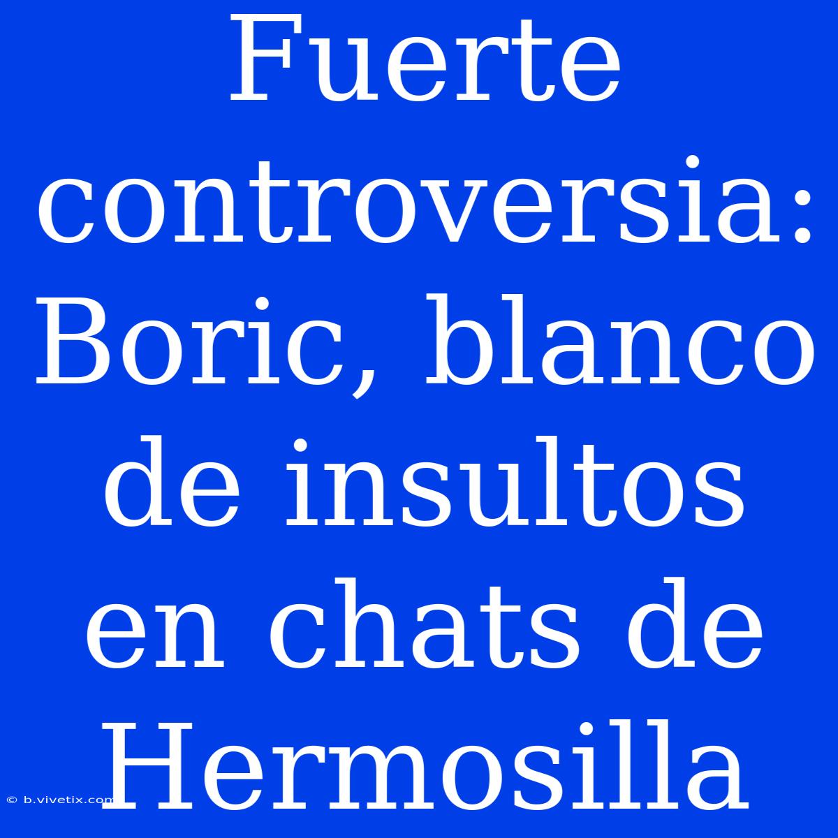 Fuerte Controversia: Boric, Blanco De Insultos En Chats De Hermosilla