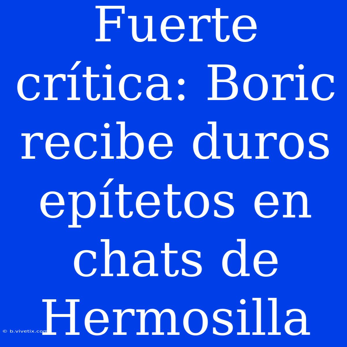 Fuerte Crítica: Boric Recibe Duros Epítetos En Chats De Hermosilla