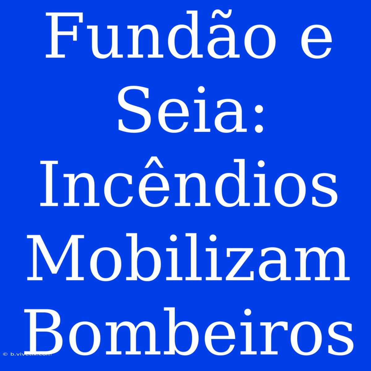 Fundão E Seia: Incêndios Mobilizam Bombeiros