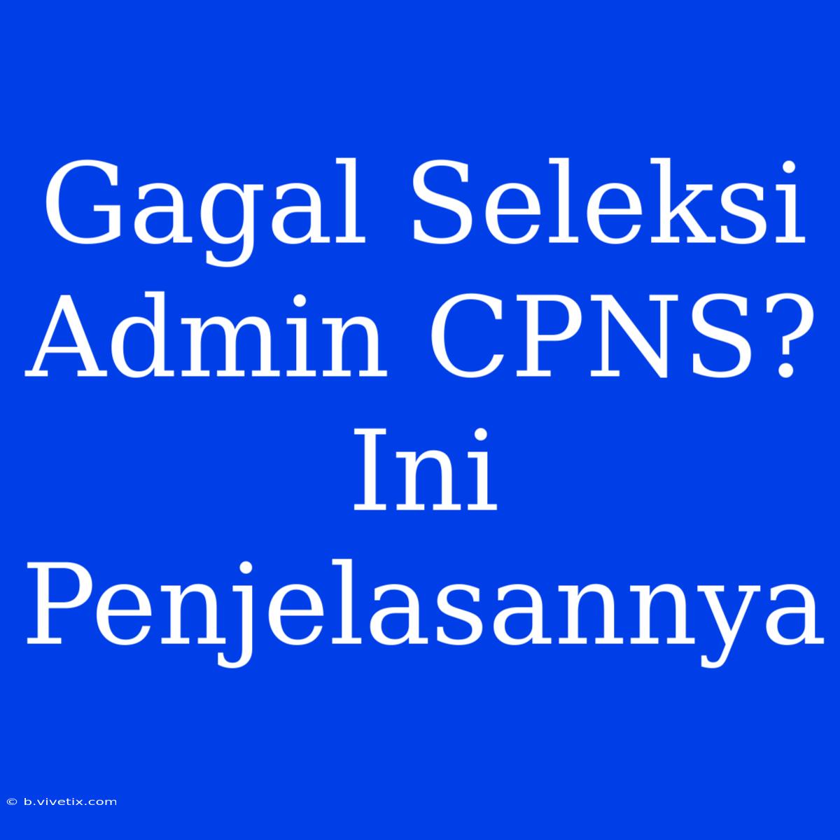 Gagal Seleksi Admin CPNS? Ini Penjelasannya