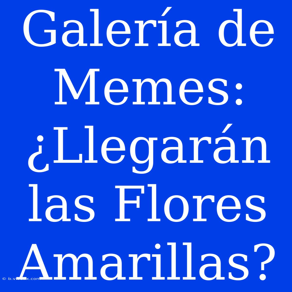 Galería De Memes: ¿Llegarán Las Flores Amarillas?