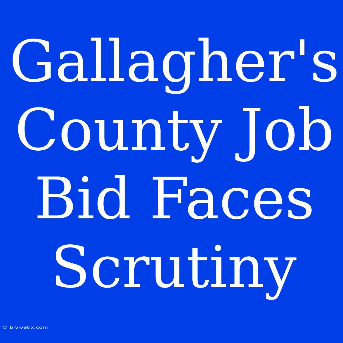 Gallagher's County Job Bid Faces Scrutiny