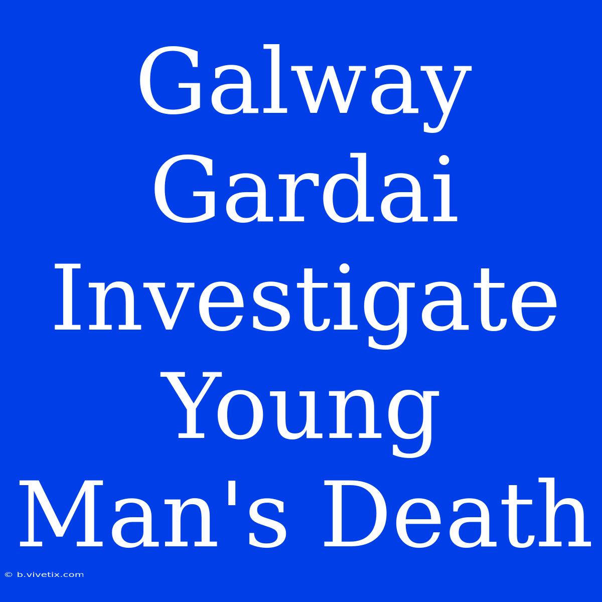 Galway Gardai Investigate Young Man's Death