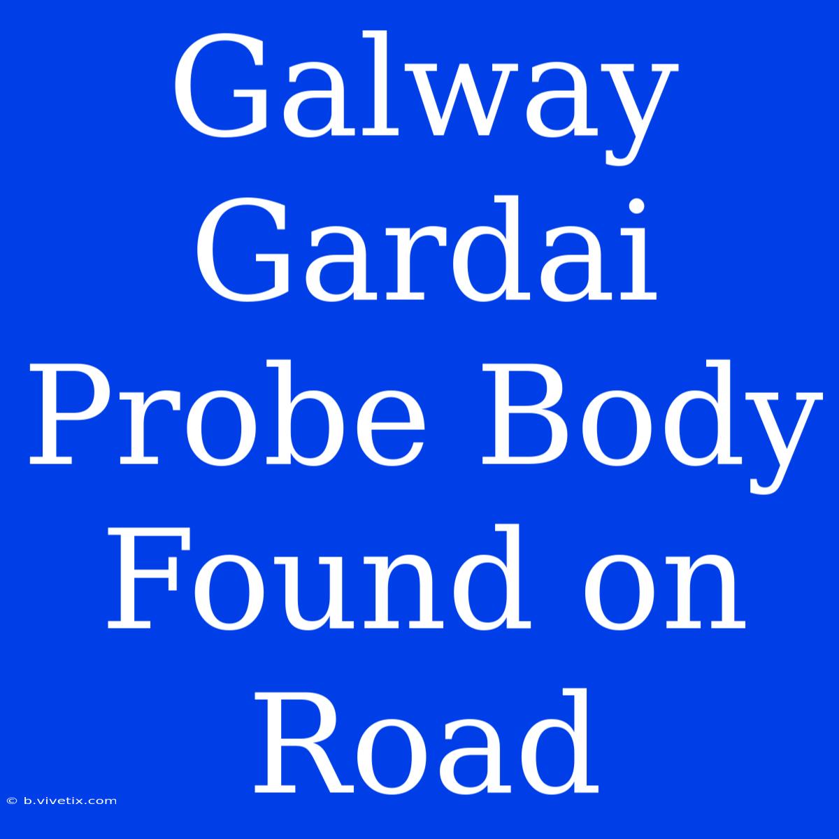 Galway Gardai Probe Body Found On Road