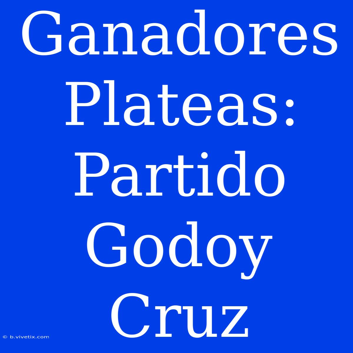 Ganadores Plateas: Partido Godoy Cruz