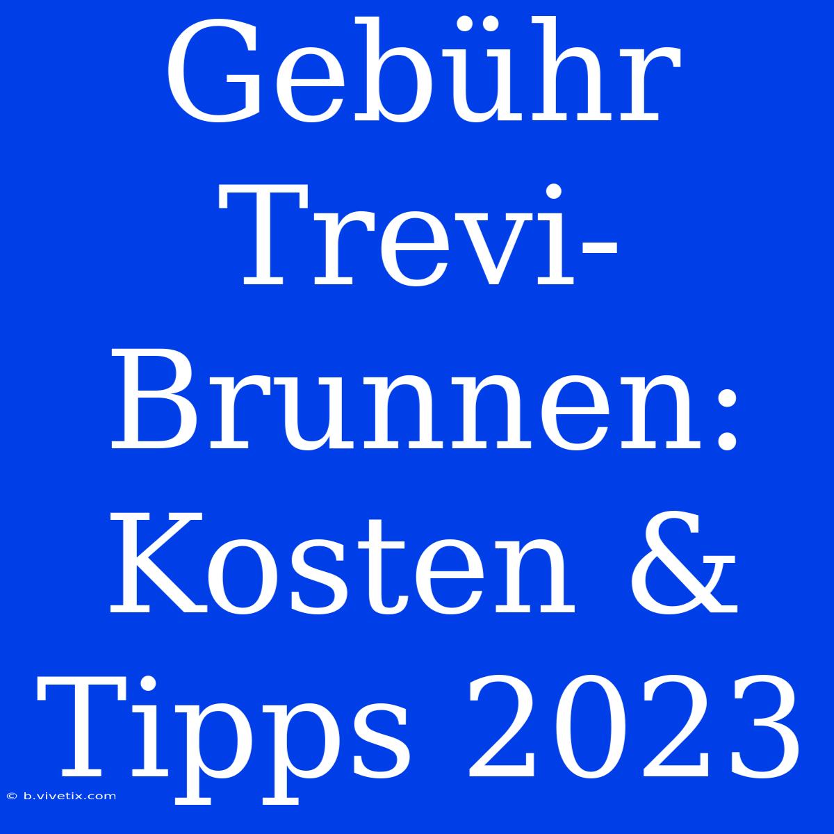 Gebühr Trevi-Brunnen: Kosten & Tipps 2023