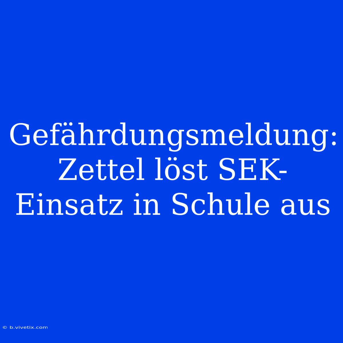 Gefährdungsmeldung: Zettel Löst SEK-Einsatz In Schule Aus 