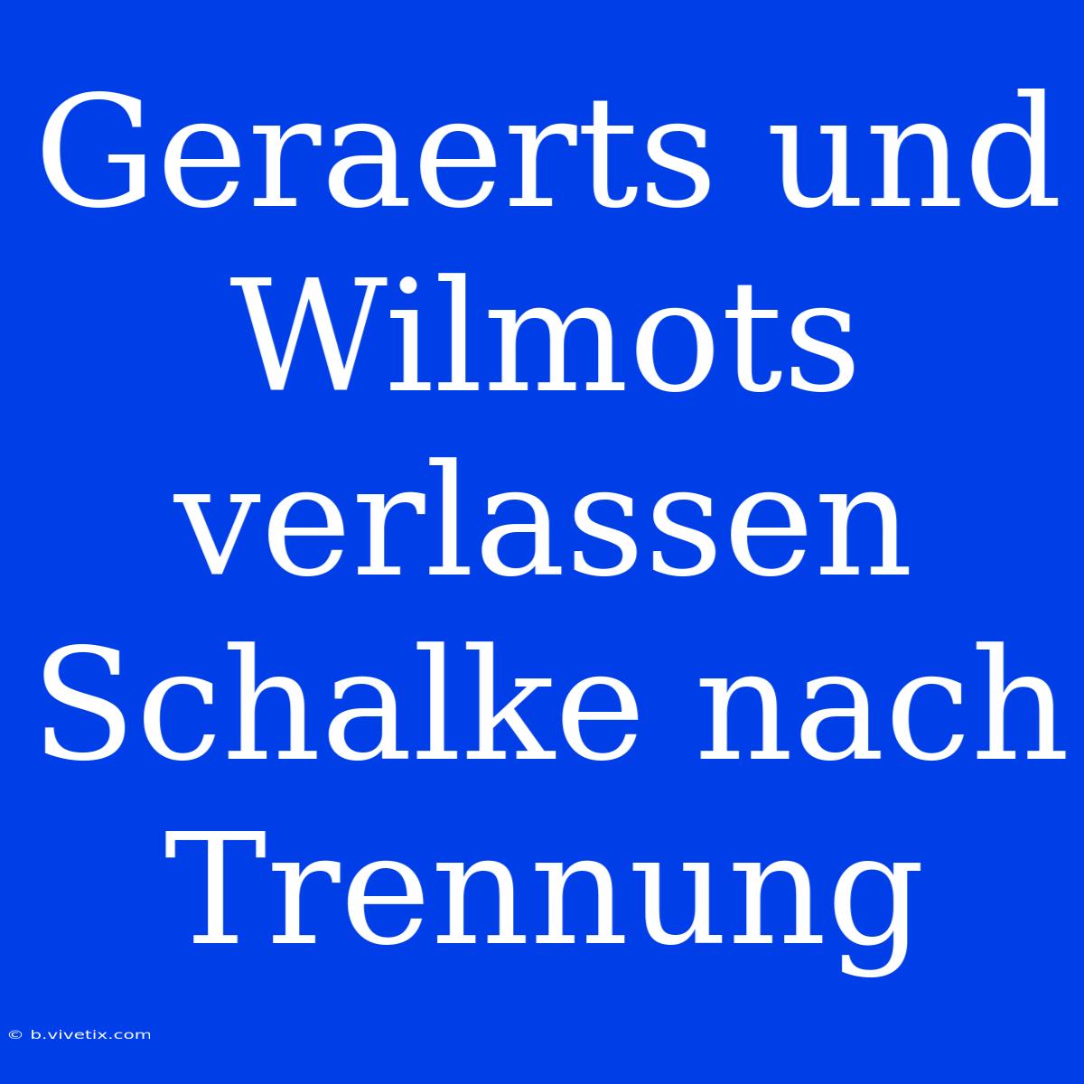 Geraerts Und Wilmots Verlassen Schalke Nach Trennung