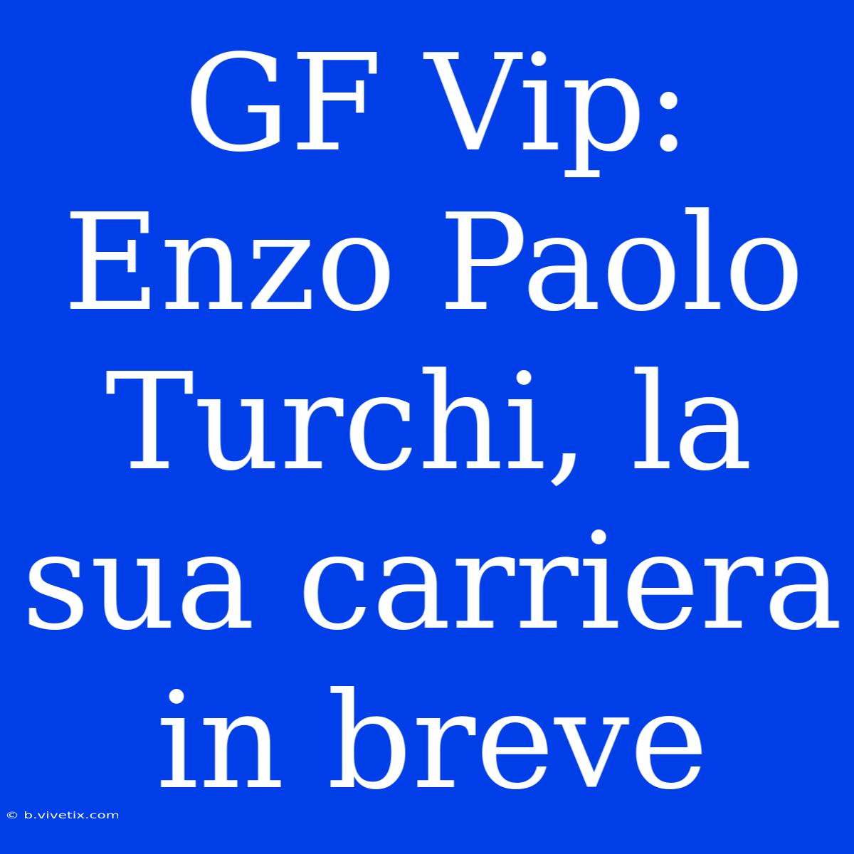 GF Vip: Enzo Paolo Turchi, La Sua Carriera In Breve