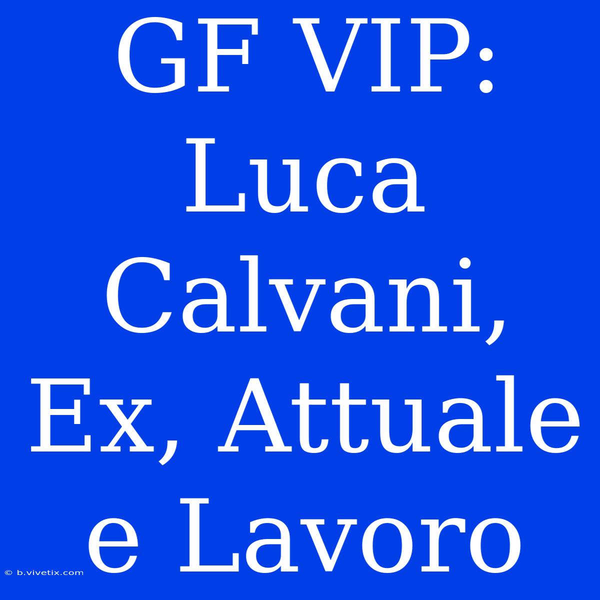 GF VIP: Luca Calvani, Ex, Attuale E Lavoro