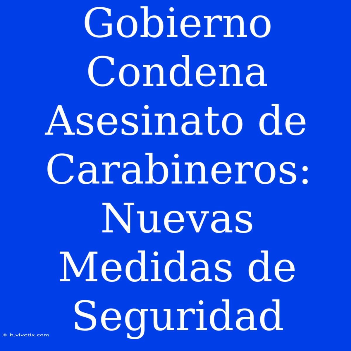 Gobierno Condena Asesinato De Carabineros: Nuevas Medidas De Seguridad