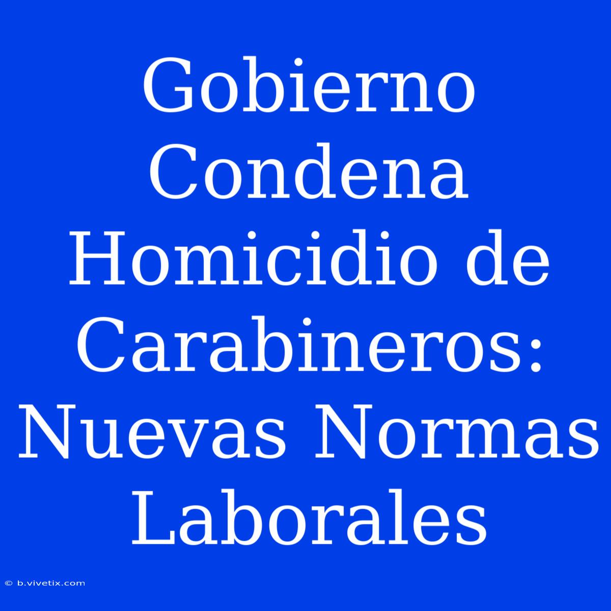 Gobierno Condena Homicidio De Carabineros: Nuevas Normas Laborales