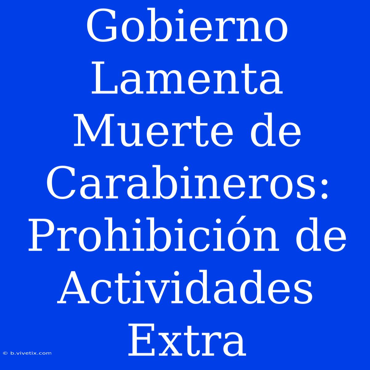 Gobierno Lamenta Muerte De Carabineros: Prohibición De Actividades Extra