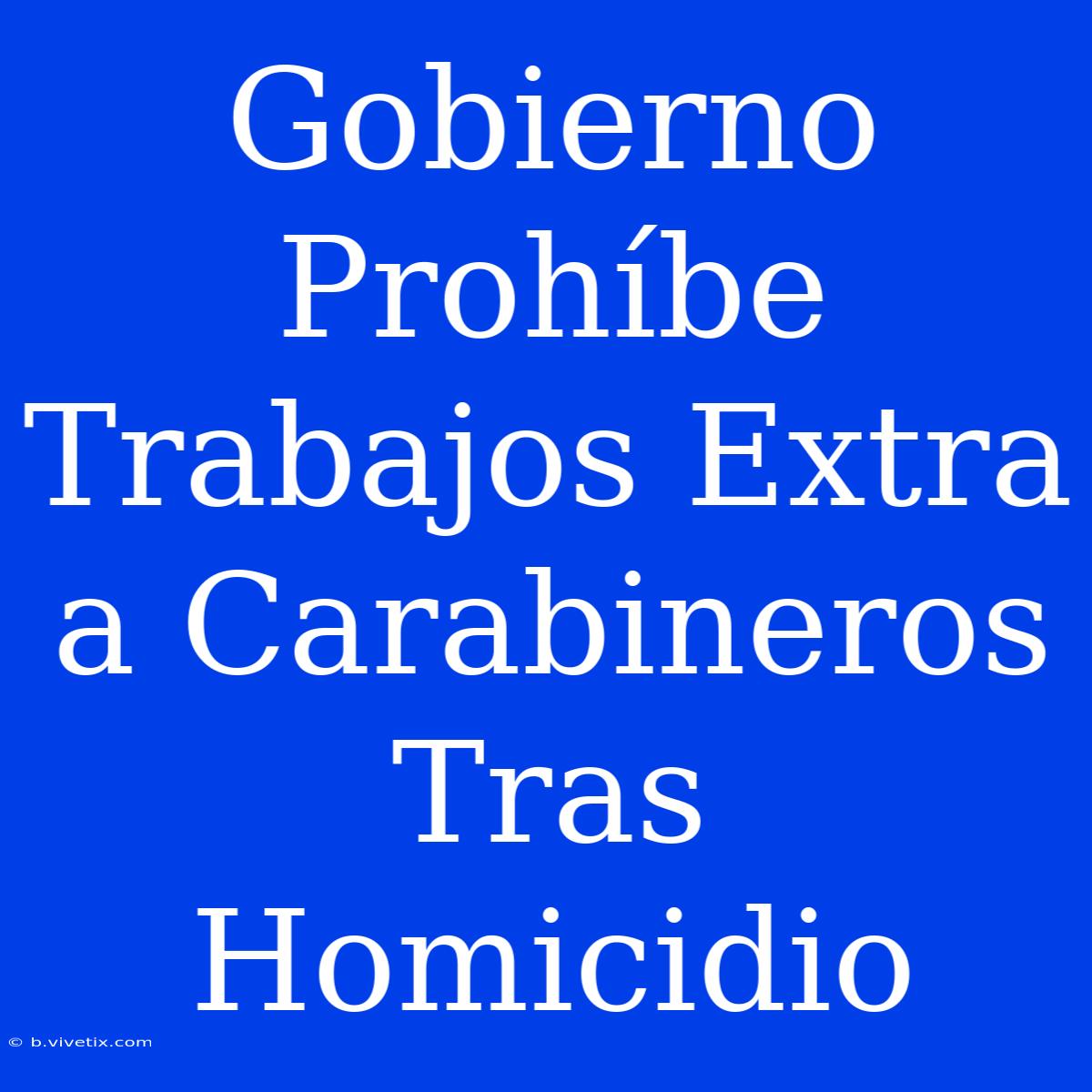 Gobierno Prohíbe Trabajos Extra A Carabineros Tras Homicidio