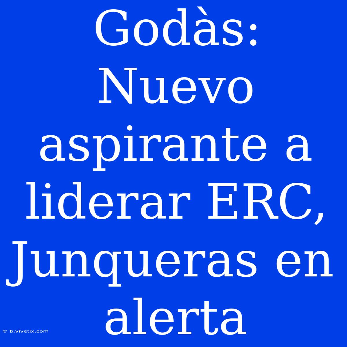 Godàs: Nuevo Aspirante A Liderar ERC, Junqueras En Alerta