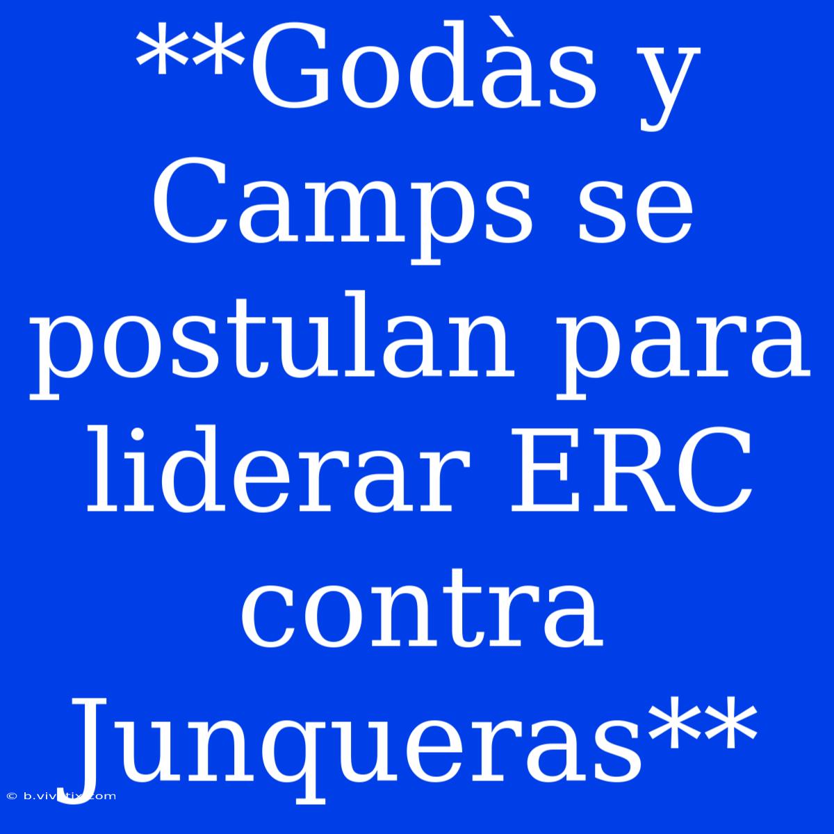 **Godàs Y Camps Se Postulan Para Liderar ERC Contra Junqueras**