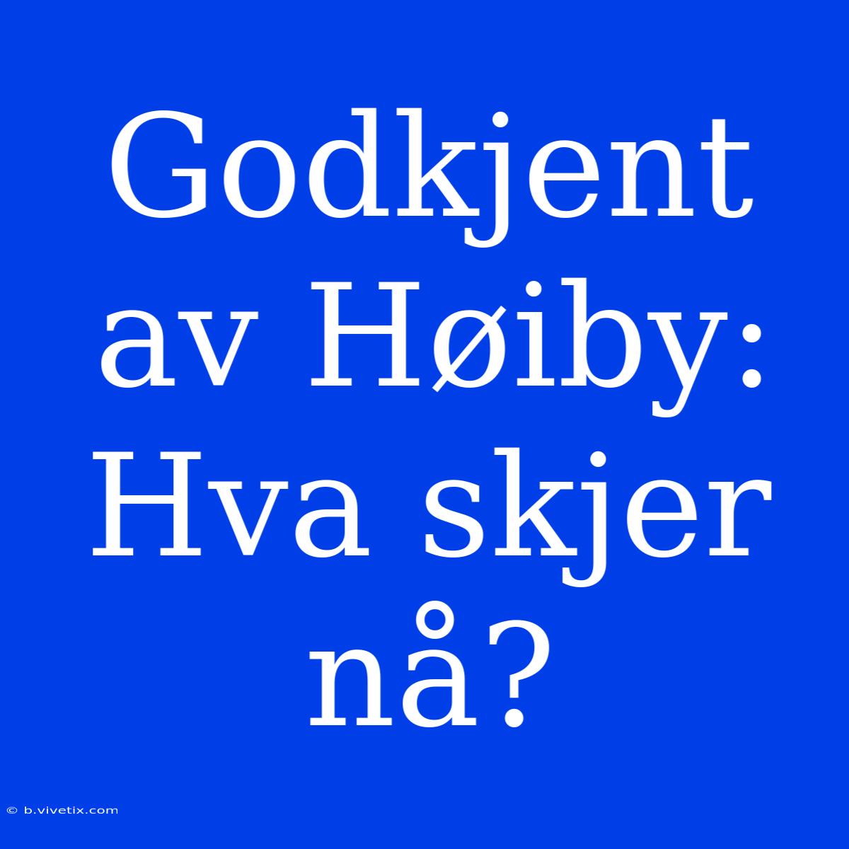 Godkjent Av Høiby: Hva Skjer Nå?