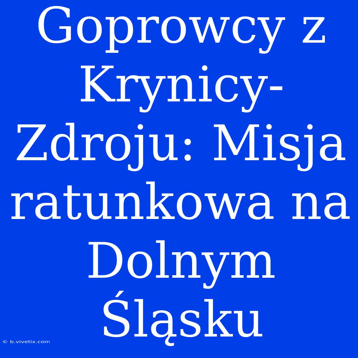 Goprowcy Z Krynicy-Zdroju: Misja Ratunkowa Na Dolnym Śląsku