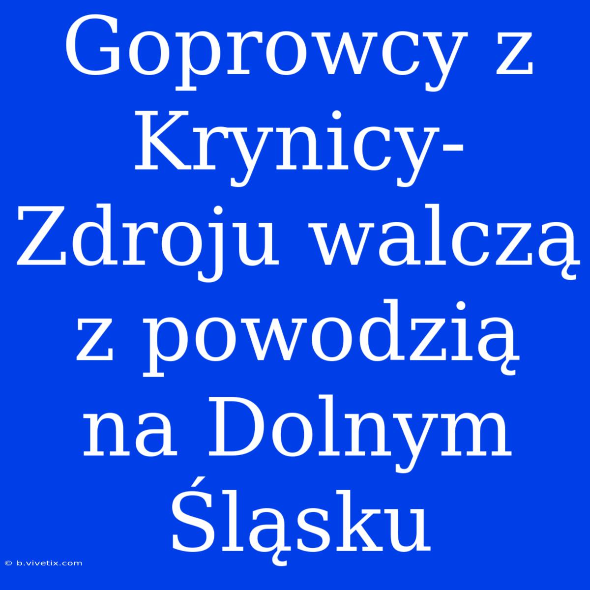 Goprowcy Z Krynicy-Zdroju Walczą Z Powodzią Na Dolnym Śląsku