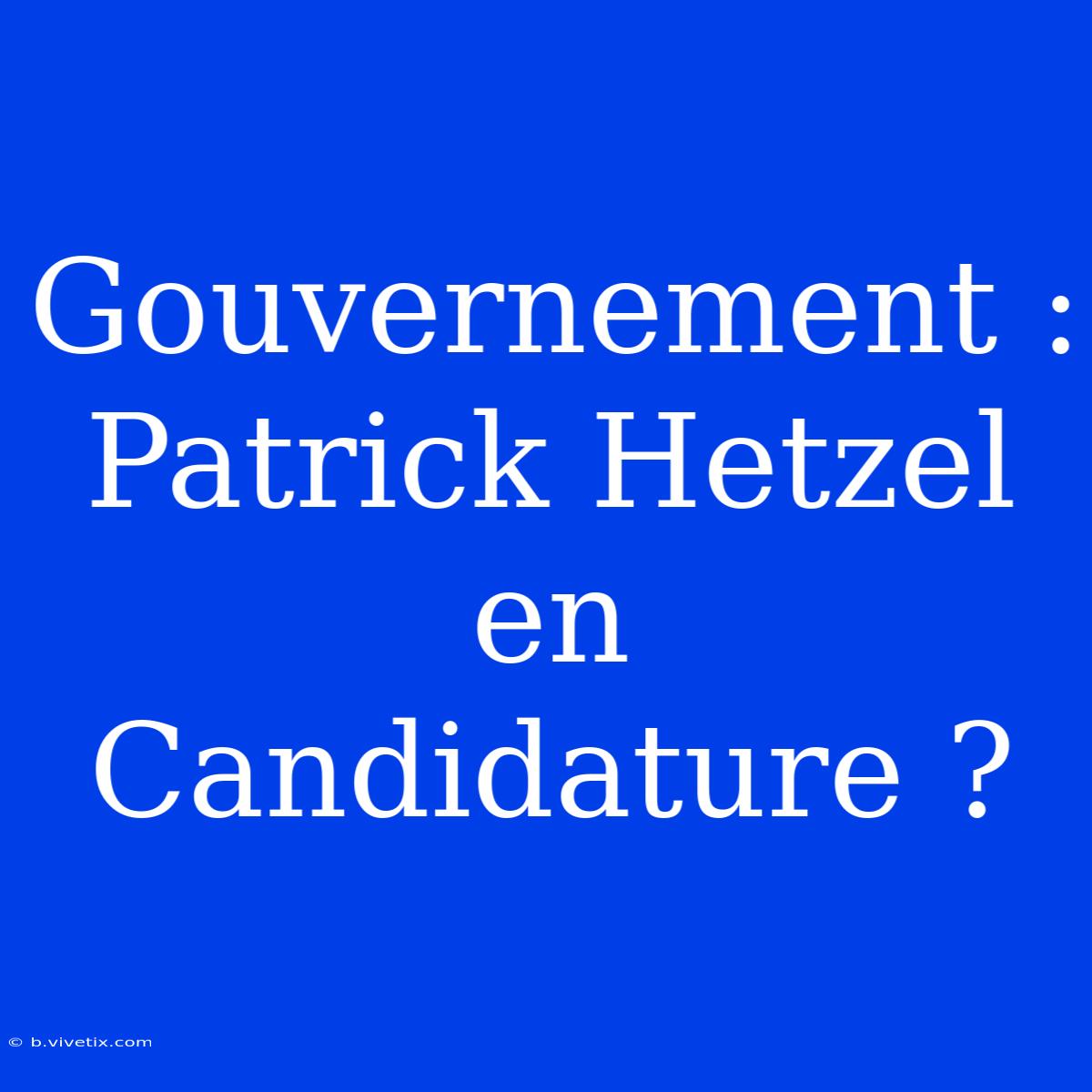 Gouvernement : Patrick Hetzel En Candidature ?