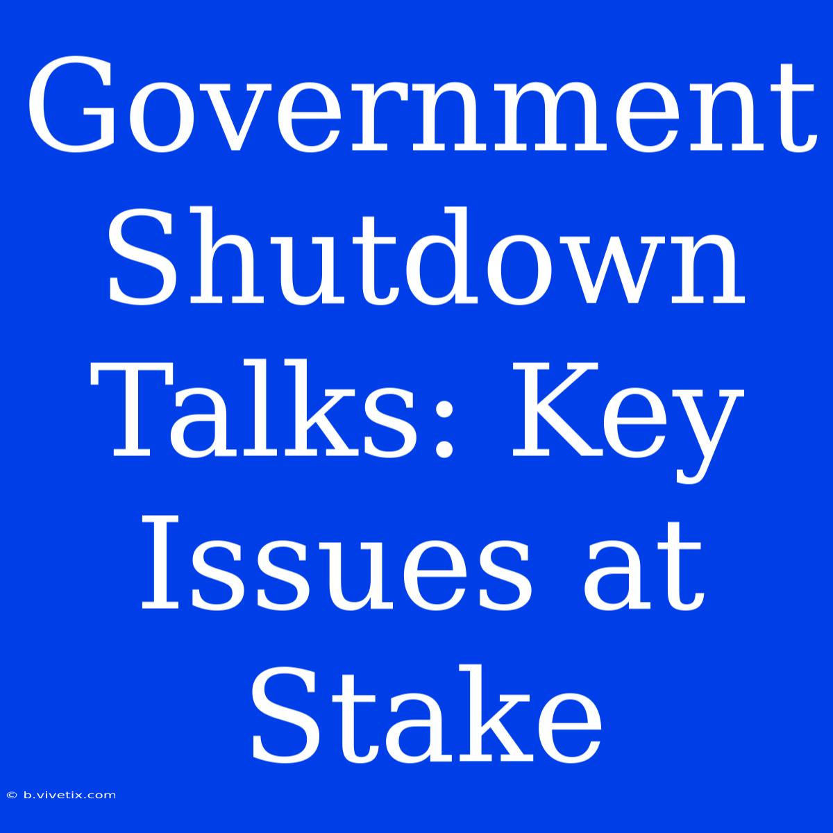 Government Shutdown Talks: Key Issues At Stake