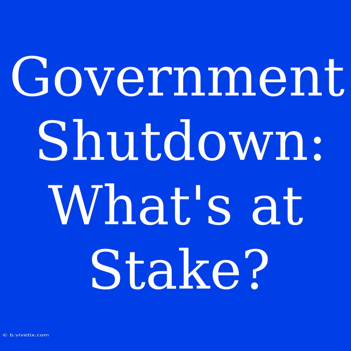 Government Shutdown: What's At Stake? 