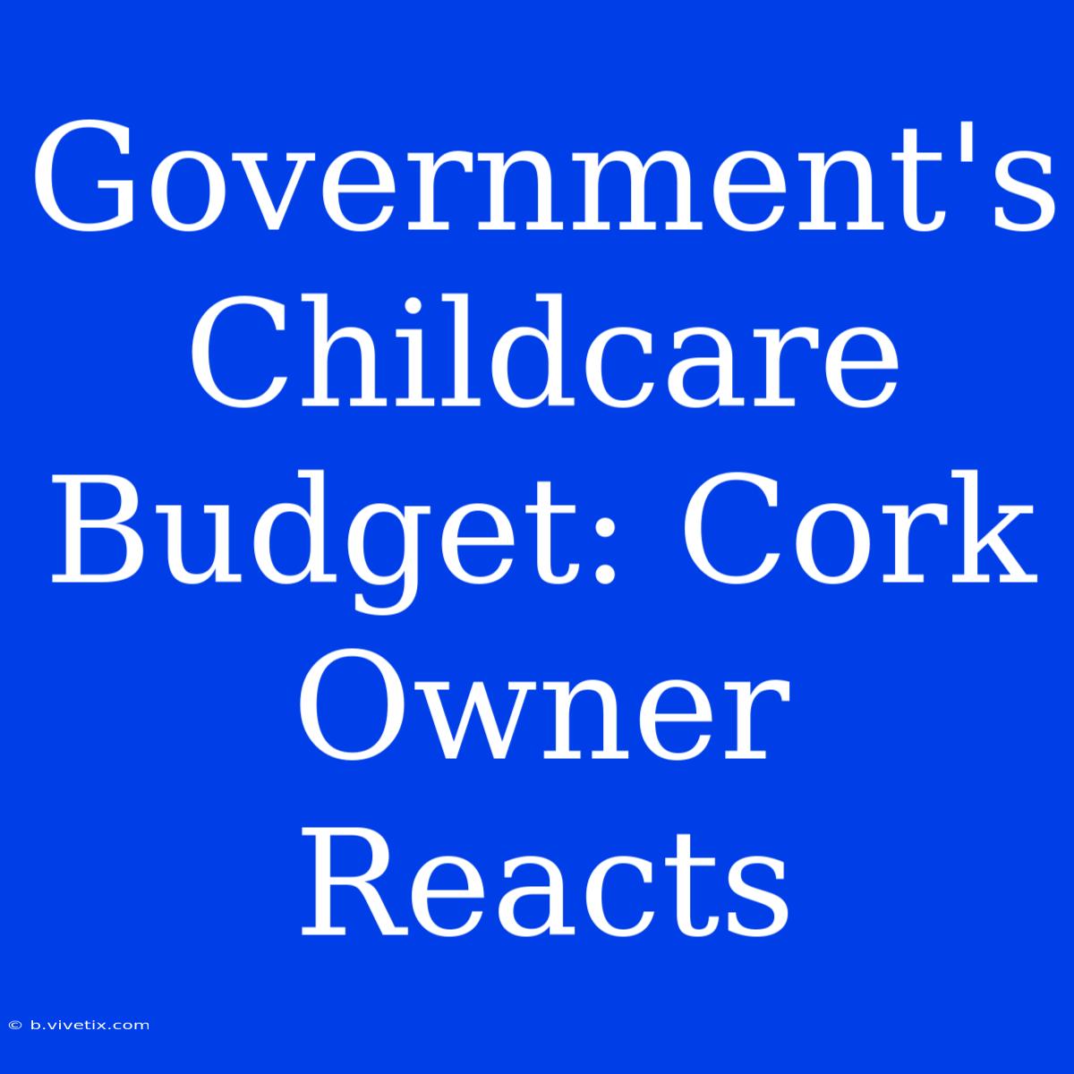 Government's Childcare Budget: Cork Owner Reacts