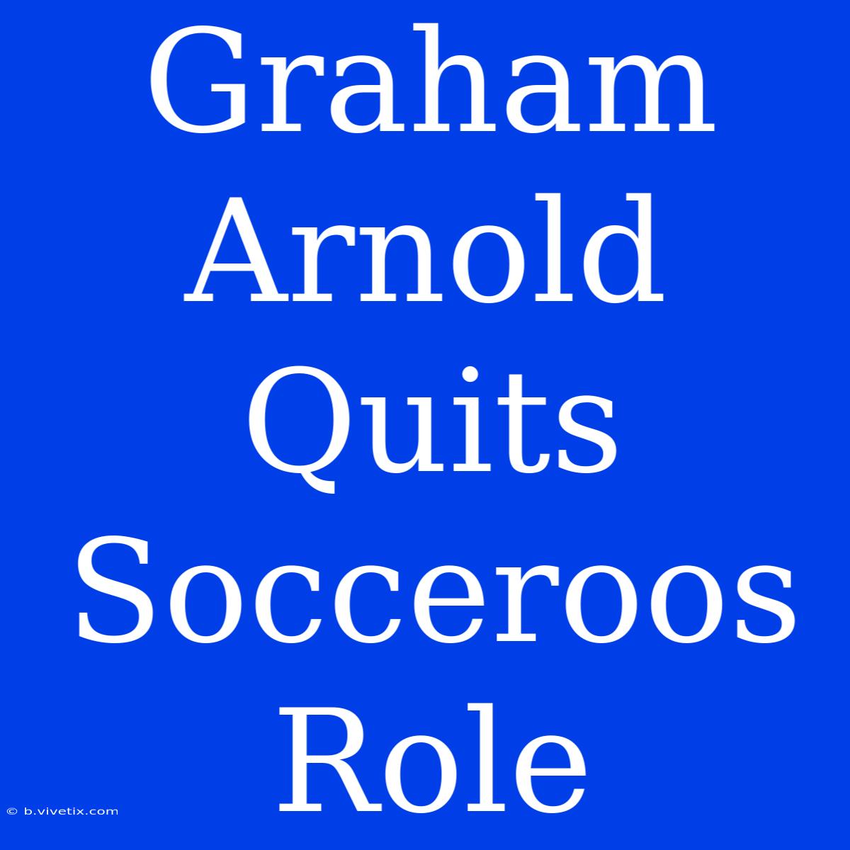 Graham Arnold Quits Socceroos Role