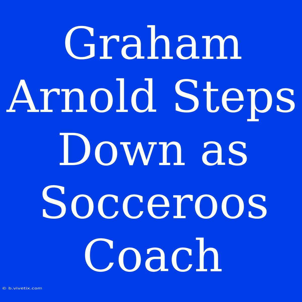 Graham Arnold Steps Down As Socceroos Coach