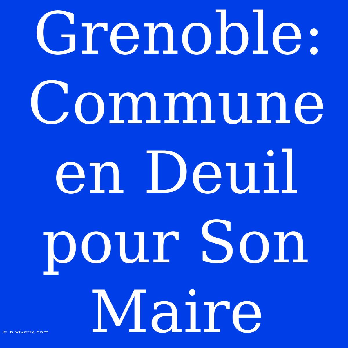 Grenoble: Commune En Deuil Pour Son Maire