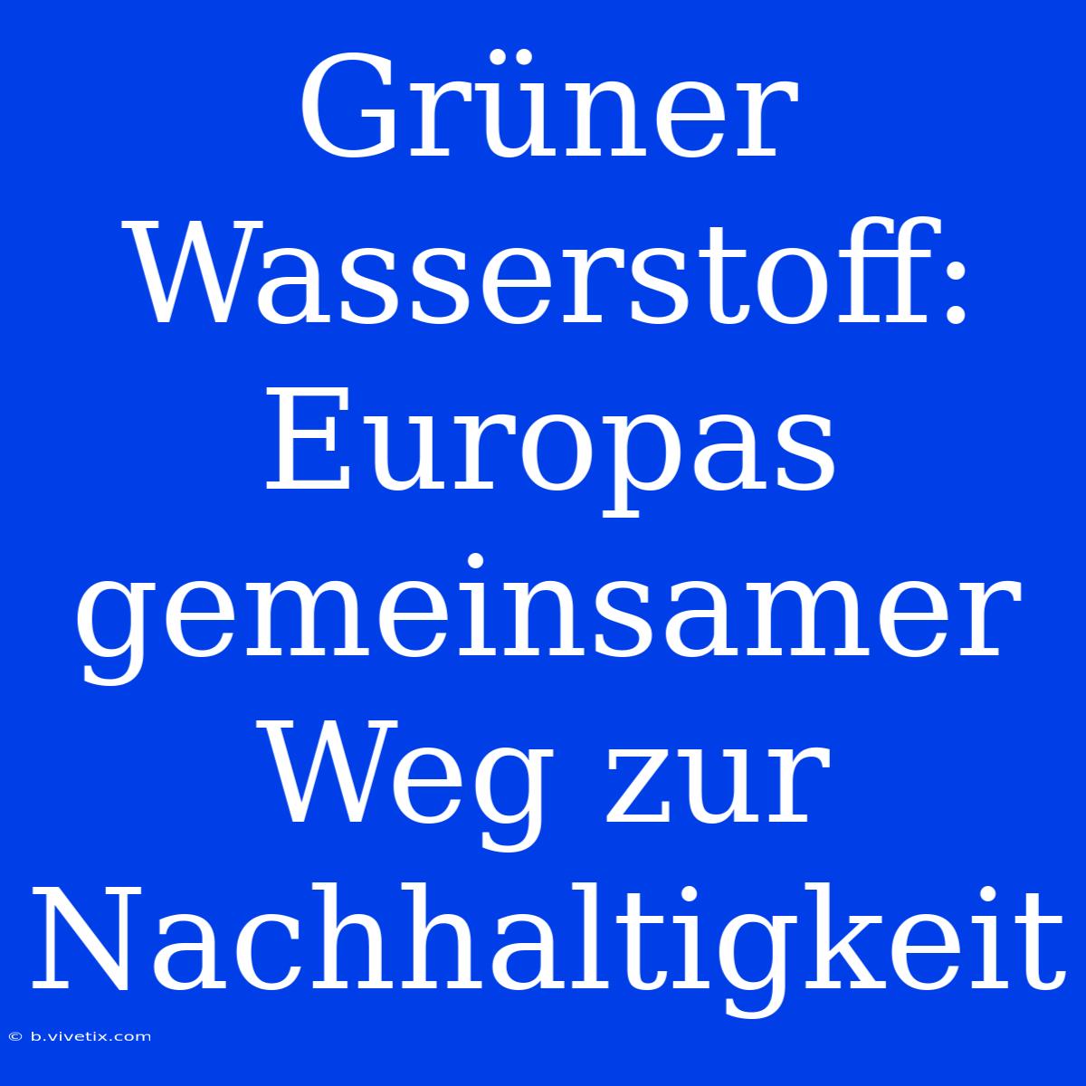 Grüner Wasserstoff: Europas Gemeinsamer Weg Zur Nachhaltigkeit