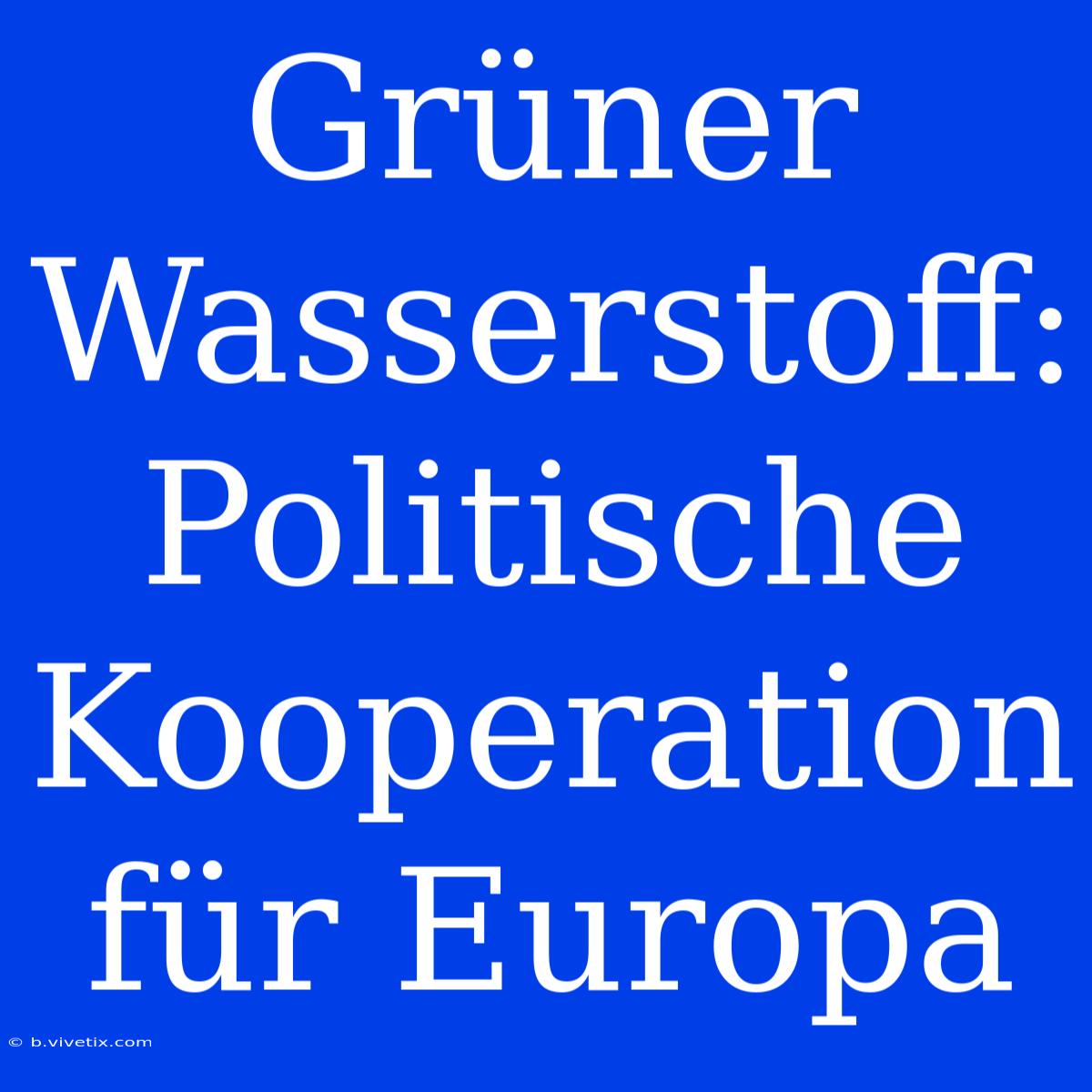 Grüner Wasserstoff: Politische Kooperation Für Europa