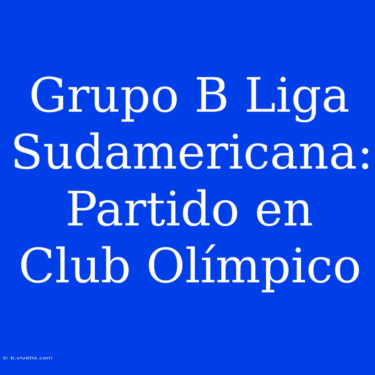 Grupo B Liga Sudamericana: Partido En Club Olímpico