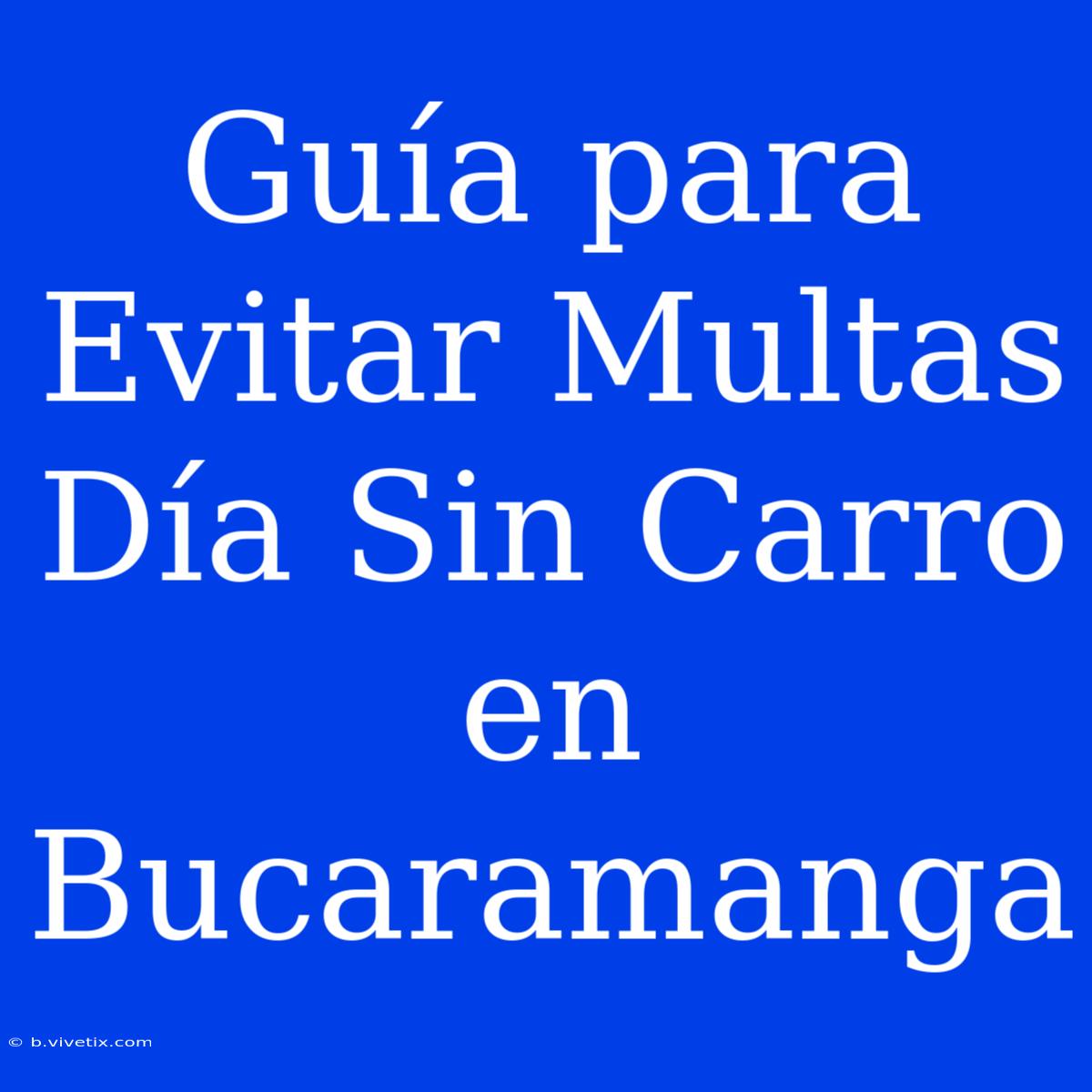 Guía Para Evitar Multas Día Sin Carro En Bucaramanga