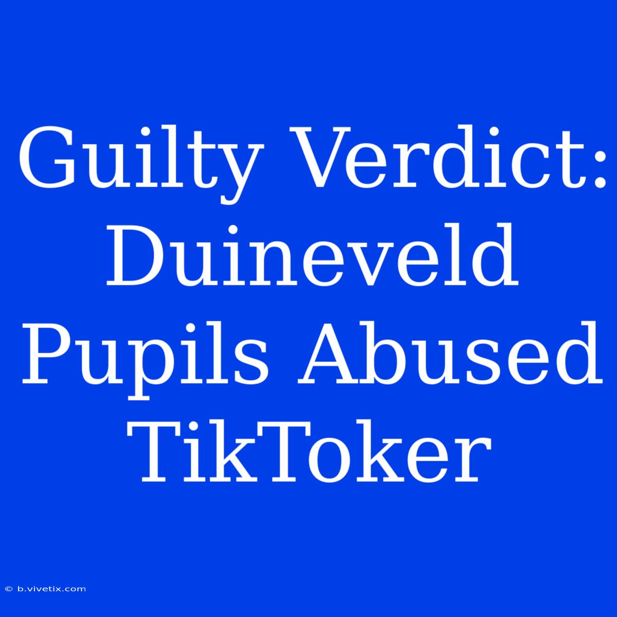 Guilty Verdict: Duineveld Pupils Abused TikToker