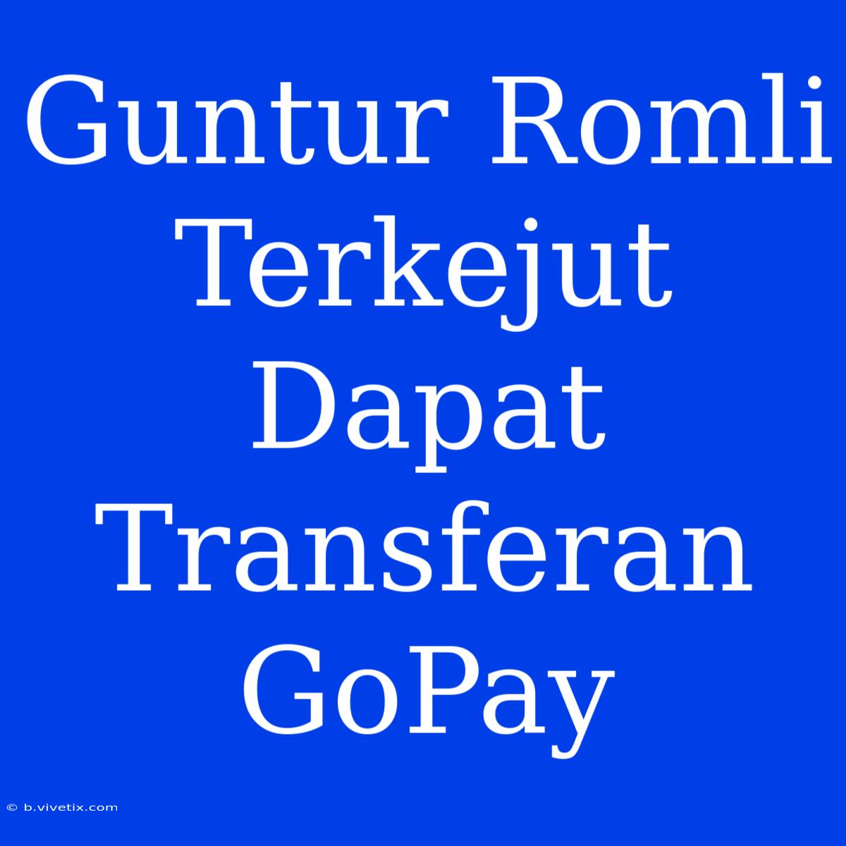 Guntur Romli Terkejut Dapat Transferan GoPay 