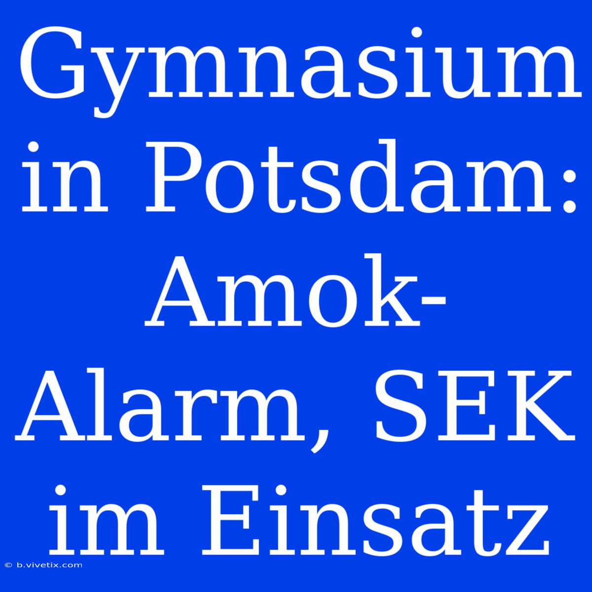 Gymnasium In Potsdam: Amok-Alarm, SEK Im Einsatz