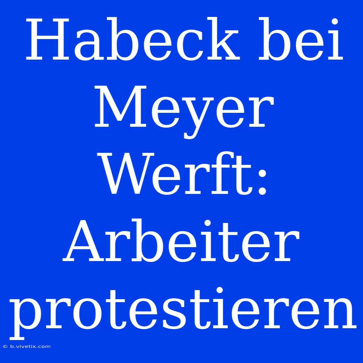 Habeck Bei Meyer Werft: Arbeiter Protestieren