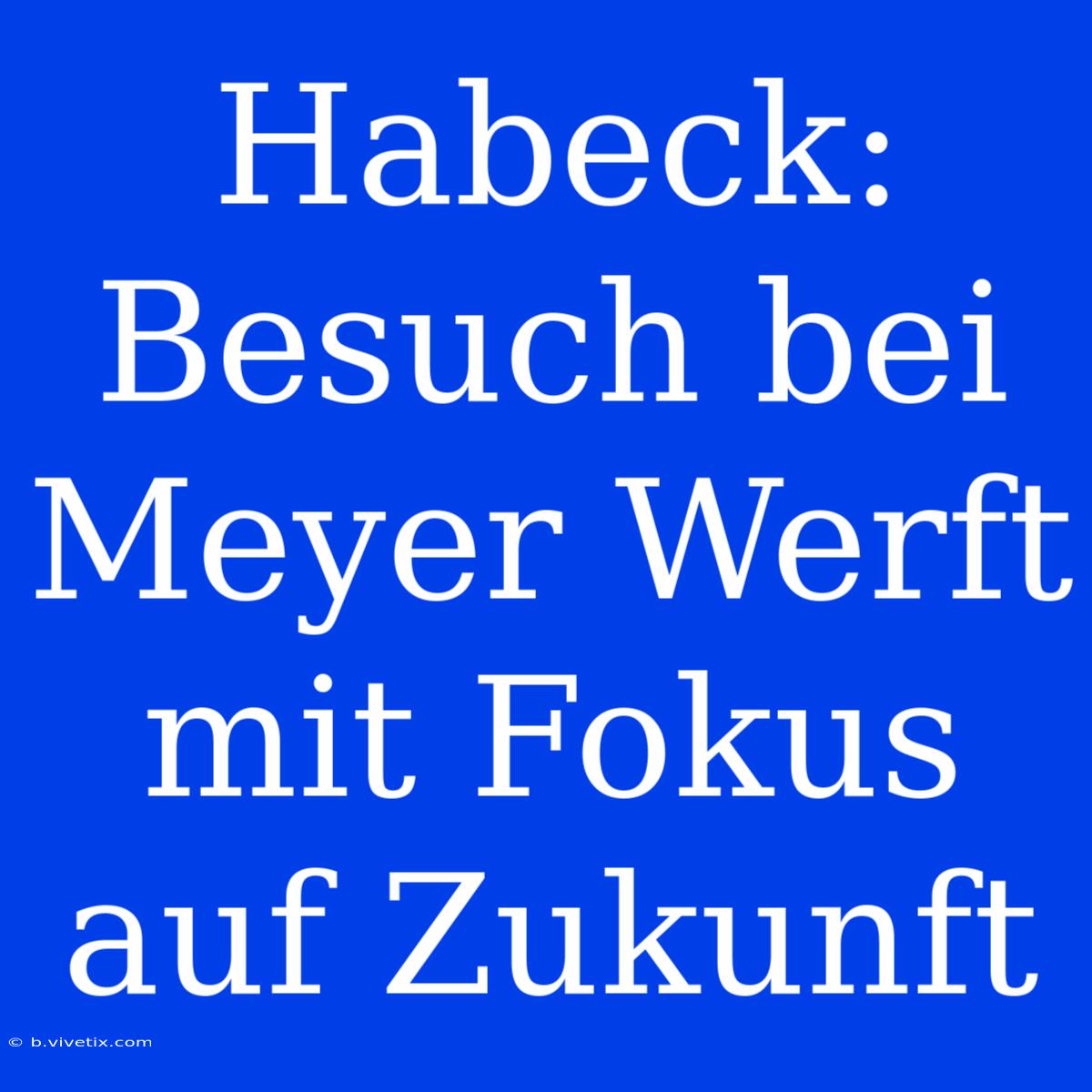 Habeck: Besuch Bei Meyer Werft Mit Fokus Auf Zukunft